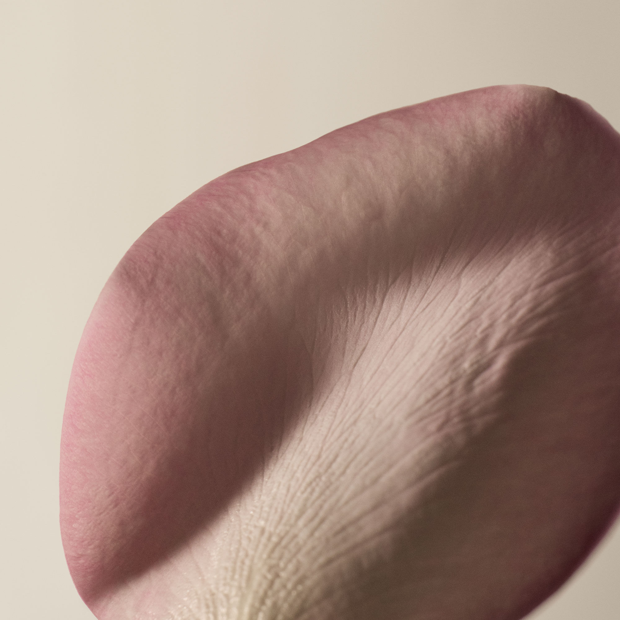 Gel Nettoyant pour le Corps Une Rose Meme Sous Un Autre Nom