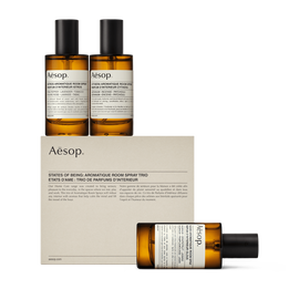 Etats d’ame : Trio de Parfums d’Interieur