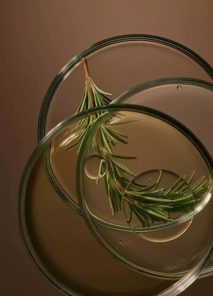 Huiles essentielles reconnues pour apaiser et revitaliser